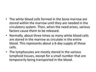 • The white blood cells formed in the bone marrow are
stored within the marrow until they are needed in the
circulatory system. Then, when the need arises, various
factors cause them to be released.
• Normally, about three times as many white blood cells
are stored in the marrow as circulate in the entire
blood. This represents about a 6-day supply of these
cells.
• The lymphocytes are mostly stored in the various
lymphoid tissues, except for a small number that are
temporarily being transported in the blood.
 