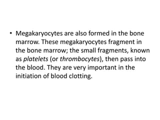 • Megakaryocytes are also formed in the bone
marrow. These megakaryocytes fragment in
the bone marrow; the small fragments, known
as platelets (or thrombocytes), then pass into
the blood. They are very important in the
initiation of blood clotting.
 