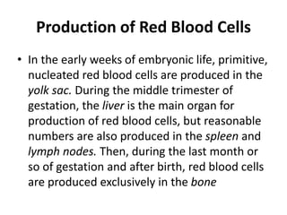 Production of Red Blood Cells
• In the early weeks of embryonic life, primitive,
nucleated red blood cells are produced in the
yolk sac. During the middle trimester of
gestation, the liver is the main organ for
production of red blood cells, but reasonable
numbers are also produced in the spleen and
lymph nodes. Then, during the last month or
so of gestation and after birth, red blood cells
are produced exclusively in the bone
 