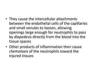 • They cause the intercellular attachments
between the endothelial cells of the capillaries
and small venules to loosen, allowing
openings large enough for neutrophils to pass
by diapedesis directly from the blood into the
tissue spaces
• Other products of inflammation then cause
chemotaxis of the neutrophils toward the
injured tissues
 