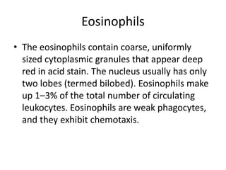 Eosinophils
• The eosinophils contain coarse, uniformly
sized cytoplasmic granules that appear deep
red in acid stain. The nucleus usually has only
two lobes (termed bilobed). Eosinophils make
up 1–3% of the total number of circulating
leukocytes. Eosinophils are weak phagocytes,
and they exhibit chemotaxis.
 
