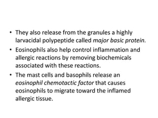 • They also release from the granules a highly
larvacidal polypeptide called major basic protein.
• Eosinophils also help control inflammation and
allergic reactions by removing biochemicals
associated with these reactions.
• The mast cells and basophils release an
eosinophil chemotactic factor that causes
eosinophils to migrate toward the inflamed
allergic tissue.
 