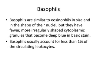 Basophils
• Basophils are similar to eosinophils in size and
in the shape of their nuclei, but they have
fewer, more irregularly shaped cytoplasmic
granules that become deep blue in basic stain.
• Basophils usually account for less than 1% of
the circulating leukocytes.
 