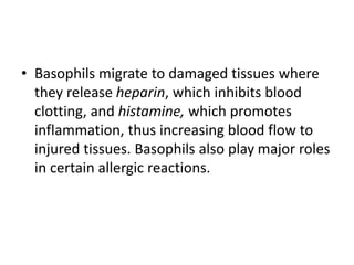• Basophils migrate to damaged tissues where
they release heparin, which inhibits blood
clotting, and histamine, which promotes
inflammation, thus increasing blood flow to
injured tissues. Basophils also play major roles
in certain allergic reactions.
 