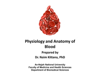 Blood Physiology Visual Notes.pdf Blood physiology.pdf