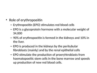 • Role of erythropoeitin
– Erythropoeitin (EPO) stimulates red blood cells
– EPO is a glycoprotein hormone with a molecular weight of
34,000
– 90% of erythropoeitin is formed in the kidneys and 10% in
the liver.
– EPO is produced in the kidneys by the peritubular
fibroblasts (mainly) and by the renal epithelial cells
– EPO stimulate the production of proeryhtroblasts from
haematopoeitic stem cells in the bone marrow and speeds
up production of new red blood cells.
 