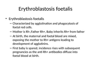 Erythroblastosis foetalis
• Erythroblastosis foetalis
– Characterized by agglutination and phagocytosis of
foetal red cells.
– Mother is Rh-,Father Rh+, Baby inherits Rh+ from father
– At birth, the maternal and foetal blood are mixed,
exposing the mother to Rh+ antigens leading to
development of agglutinins.
– First baby is spared, incidence rises with subsequent
pregnancies as the anti Rh+ antibodies diffuse into
foetal blood at birth.
 