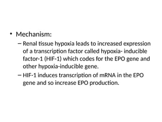 • Mechanism:
– Renal tissue hypoxia leads to increased expression
of a transcription factor called hypoxia- inducible
factor-1 (HIF-1) which codes for the EPO gene and
other hypoxia-inducible gene.
– HIF-1 induces transcription of mRNA in the EPO
gene and so increase EPO production.
 