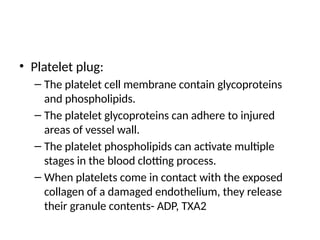 • Platelet plug:
– The platelet cell membrane contain glycoproteins
and phospholipids.
– The platelet glycoproteins can adhere to injured
areas of vessel wall.
– The platelet phospholipids can activate multiple
stages in the blood clotting process.
– When platelets come in contact with the exposed
collagen of a damaged endothelium, they release
their granule contents- ADP, TXA2
 