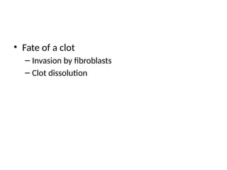 • Fate of a clot
– Invasion by fibroblasts
– Clot dissolution
 