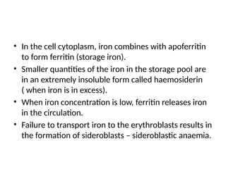 • In the cell cytoplasm, iron combines with apoferritin
to form ferritin (storage iron).
• Smaller quantities of the iron in the storage pool are
in an extremely insoluble form called haemosiderin
( when iron is in excess).
• When iron concentration is low, ferritin releases iron
in the circulation.
• Failure to transport iron to the erythroblasts results in
the formation of sideroblasts – sideroblastic anaemia.
 