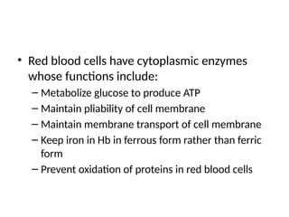 • Red blood cells have cytoplasmic enzymes
whose functions include:
– Metabolize glucose to produce ATP
– Maintain pliability of cell membrane
– Maintain membrane transport of cell membrane
– Keep iron in Hb in ferrous form rather than ferric
form
– Prevent oxidation of proteins in red blood cells
 