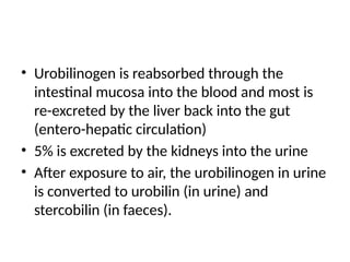 • Urobilinogen is reabsorbed through the
intestinal mucosa into the blood and most is
re-excreted by the liver back into the gut
(entero-hepatic circulation)
• 5% is excreted by the kidneys into the urine
• After exposure to air, the urobilinogen in urine
is converted to urobilin (in urine) and
stercobilin (in faeces).
 