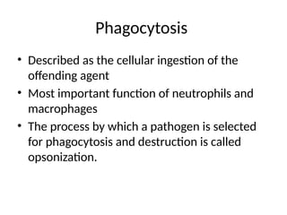 Phagocytosis
• Described as the cellular ingestion of the
offending agent
• Most important function of neutrophils and
macrophages
• The process by which a pathogen is selected
for phagocytosis and destruction is called
opsonization.
 