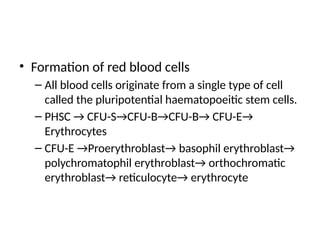 • Formation of red blood cells
– All blood cells originate from a single type of cell
called the pluripotential haematopoeitic stem cells.
– PHSC → CFU-S→CFU-B→CFU-B→ CFU-E→
Erythrocytes
– CFU-E →Proerythroblast→ basophil erythroblast→
polychromatophil erythroblast→ orthochromatic
erythroblast→ reticulocyte→ erythrocyte
 