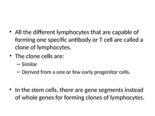 • All the different lymphocytes that are capable of
forming one specific antibody or T cell are called a
clone of lymphocytes.
• The clone cells are:
– Similar
– Derived from a one or few early progenitor cells.
• In the stem cells, there are gene segments instead
of whole genes for forming clones of lymphocytes.
 