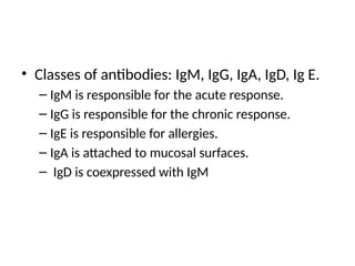• Classes of antibodies: IgM, IgG, IgA, IgD, Ig E.
– IgM is responsible for the acute response.
– IgG is responsible for the chronic response.
– IgE is responsible for allergies.
– IgA is attached to mucosal surfaces.
– IgD is coexpressed with IgM
 