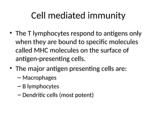 Cell mediated immunity
• The T lymphocytes respond to antigens only
when they are bound to specific molecules
called MHC molecules on the surface of
antigen-presenting cells.
• The major antigen presenting cells are:
– Macrophages
– B lymphocytes
– Dendritic cells (most potent)
 