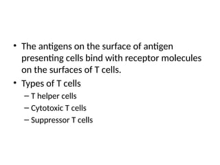 • The antigens on the surface of antigen
presenting cells bind with receptor molecules
on the surfaces of T cells.
• Types of T cells
– T helper cells
– Cytotoxic T cells
– Suppressor T cells
 