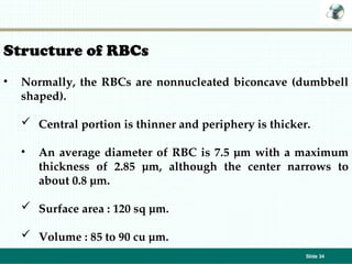 Blood physiology Leta hematology system ppt | PPT