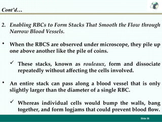 Blood physiology Leta hematology system ppt | PPT
