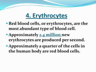 4. Erythrocytes
 Red blood cells, or erythrocytes, are the
most abundant type of blood cell.
 Approximately 2.4 million new
erythrocytes are produced per second.
 Approximately a quarter of the cells in
the human body are red blood cells.
 