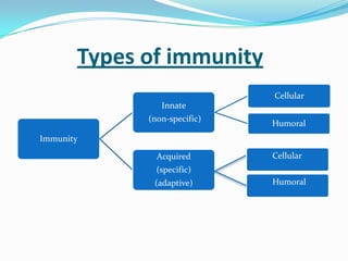 Types of immunity
Immunity
Innate
(non-specific)
Cellular
Humoral
Acquired
(specific)
(adaptive)
Cellular
Cellular
Humoral
 