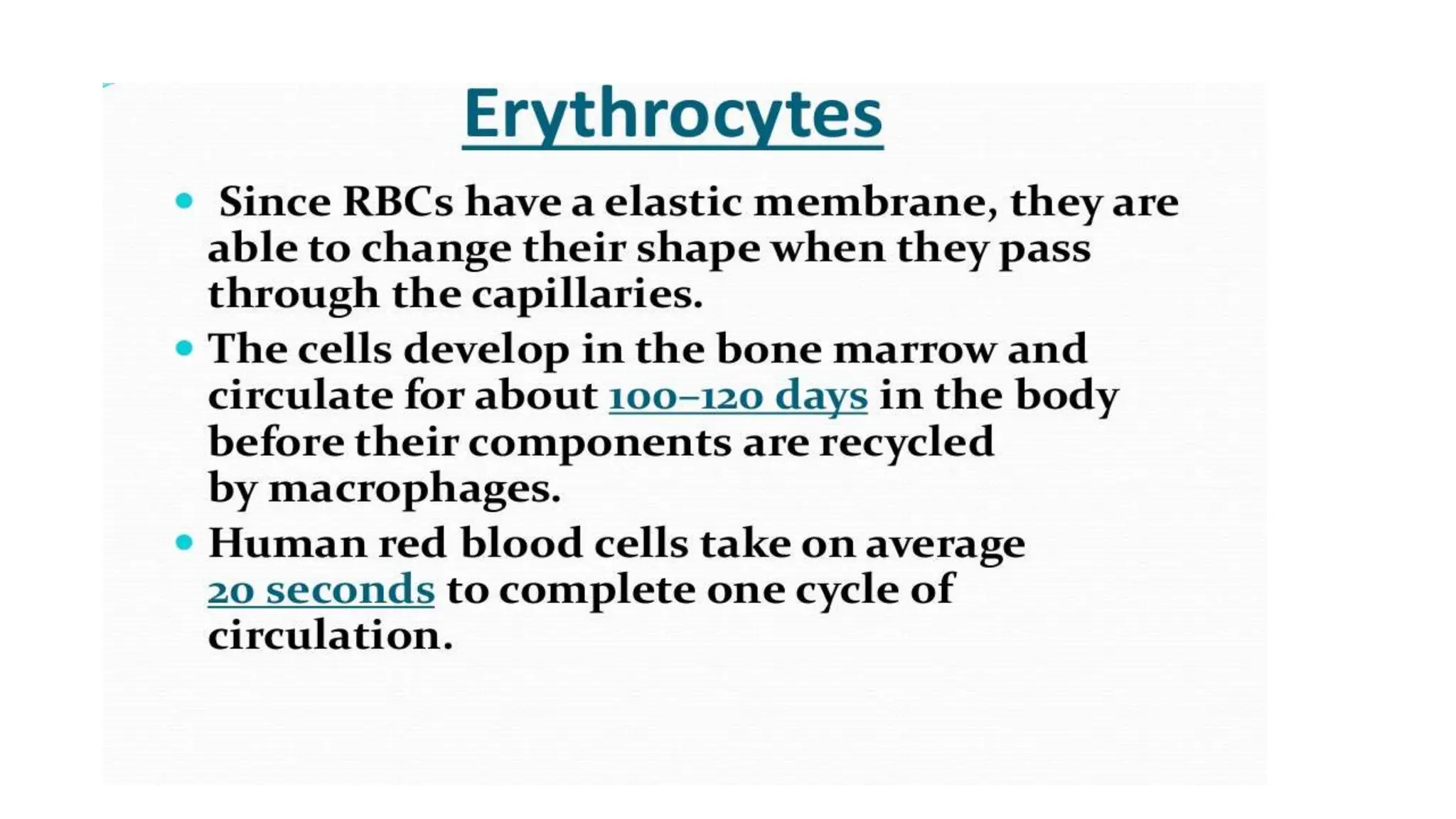 blood physiology , physiology of erythrocytes.ppt