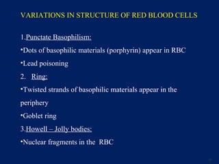 Poison Strands Blood physiology seminar | PPT