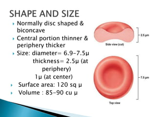 Blood, composition, rbc ,wbc ,platelets ,physiology, disorders,blood ...