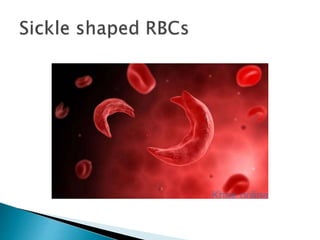 Blood, composition, rbc ,wbc ,platelets ,physiology, disorders,blood ...