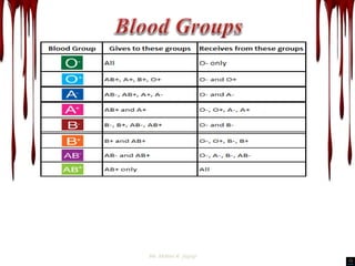 Blood | PPTX