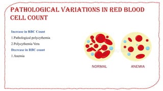 physiology of Blood and erythropoiesis and detail about white blood ...