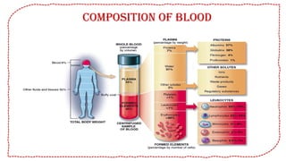 physiology of Blood and erythropoiesis and detail about white blood ...