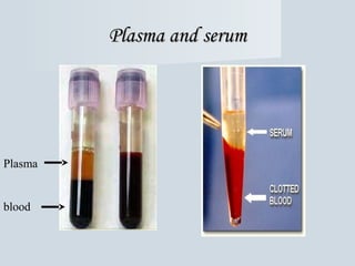 Plasma and serum

Plasma

blood

 