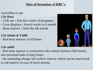 Sites of formation of RBC’s
According to age
1.In fetus
- Yolk sac : first few weeks of pregnancy
- Liver &spleen : from 6 weeks to 6 month
- Bone marrow : from the 6th month
2.In infant & Child
- Red bone marrow of all bones
3.In adult
- Red bone marrow is restricted to the central skeleton (flat bones)
also proximal ends of long bones
- the remaining change into yellow marrow which can be reactivated
to red marrow in case of sever anemia

 