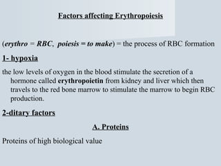 Factors affecting Erythropoiesis

(erythro = RBC, poiesis = to make) = the process of RBC formation

1- hypoxia
the low levels of oxygen in the blood stimulate the secretion of a
hormone called erythropoietin from kidney and liver which then
travels to the red bone marrow to stimulate the marrow to begin RBC
production.

2-ditary factors
A. Proteins
Proteins of high biological value

 