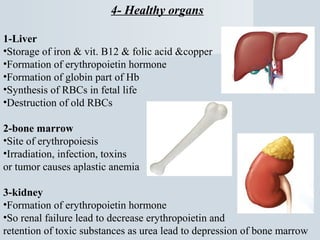 4- Healthy organs
1-Liver
•Storage of iron & vit. B12 & folic acid &copper
•Formation of erythropoietin hormone
•Formation of globin part of Hb
•Synthesis of RBCs in fetal life
•Destruction of old RBCs
2-bone marrow
•Site of erythropoiesis
•Irradiation, infection, toxins
or tumor causes aplastic anemia
3-kidney
•Formation of erythropoietin hormone
•So renal failure lead to decrease erythropoietin and
retention of toxic substances as urea lead to depression of bone marrow

 