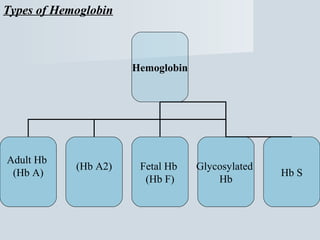 Types of Hemoglobin

Hemoglobin

Adult Hb
(Hb A)

(Hb A2)

Fetal Hb
(Hb F)

Glycosylated
Hb

Hb S

 