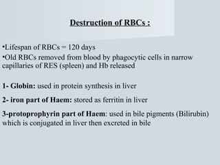 Destruction of RBCs :
•Lifespan of RBCs = 120 days
•Old RBCs removed from blood by phagocytic cells in narrow
capillaries of RES (spleen) and Hb released
1- Globin: used in protein synthesis in liver
2- iron part of Haem: stored as ferritin in liver
3-protoprophyrin part of Haem: used in bile pigments (Bilirubin)
which is conjugated in liver then excreted in bile

 