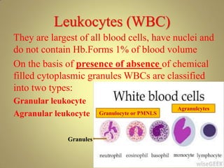 Leukocytes (WBC)
They are largest of all blood cells, have nuclei and
do not contain Hb.Forms 1% of blood volume
On the basis of presence of absence of chemical
filled cytoplasmic granules WBCs are classified
into two types:
Granular leukocyte
Agranular leukocyte
Granules
Granulocyte or PMNLS
Agranulcytes
 