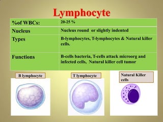 Lymphocyte
%of WBCs: 20-25 %
Nucleus Nucleus round or slightly indented
Types B-lymphocytes, T-lymphocytes & Natural killer
cells.
Functions B-cells bacteria, T-cells attack microorg and
infected cells, Natural killer cell tumor
B lymphocyte T lymphocyte Natural Killer
cells
 