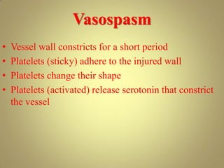 Vasospasm
• Vessel wall constricts for a short period
• Platelets (sticky) adhere to the injured wall
• Platelets change their shape
• Platelets (activated) release serotonin that constrict
the vessel
 