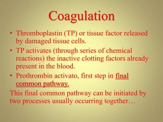 Coagulation
• Thromboplastin (TP) or tissue factor released
by damaged tissue cells.
• TP activates (through series of chemical
reactions) the inactive clotting factors already
present in the blood.
• Prothrombin activato, first step in final
common pathway.
This final common pathway can be initiated by
two processes usually occurring together…
 
