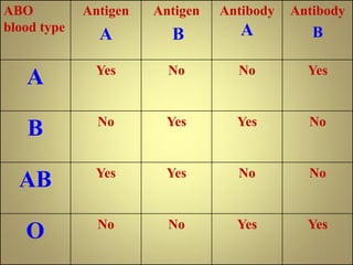 ABO
blood type
Antigen
A
Antigen
B
Antibody
A
Antibody
B
A Yes No No Yes
B No Yes Yes No
AB Yes Yes No No
O No No Yes Yes
 