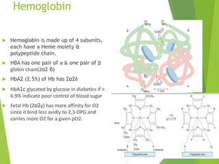Hba Structure Blood Physiology | PPTX