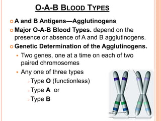 O-A-B BLOOD TYPES 
A and B Antigens—Agglutinogens 
 Major O-A-B Blood Types. depend on the 
presence or absence of A and B agglutinogens. 
 Genetic Determination of the Agglutinogens. 
 Two genes, one at a time on each of two 
paired chromosomes 
 Any one of three types 
Type O (functionless) 
Type A or 
Type B 
 
