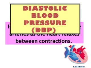 Is the resting pressure on the
arteries as the heart relaxes
between contractions.
DIASTOLIC
BLOOD
PRESSURE
(DBP)
 