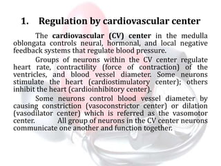 1. Regulation by cardiovascular center
The cardiovascular (CV) center in the medulla
oblongata controls neural, hormonal, and local negative
feedback systems that regulate blood pressure.
Groups of neurons within the CV center regulate
heart rate, contractility (force of contraction) of the
ventricles, and blood vessel diameter. Some neurons
stimulate the heart (cardiostimulatory center); others
inhibit the heart (cardioinhibitory center).
Some neurons control blood vessel diameter by
causing constriction (vasoconstrictor center) or dilation
(vasodilator center) which is referred as the vasomotor
center. All group of neurons in the CV center neurons
communicate one another and function together.
 