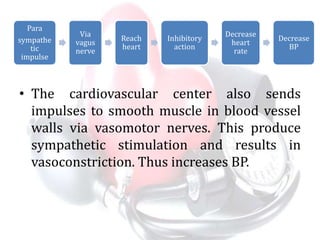 • The cardiovascular center also sends
impulses to smooth muscle in blood vessel
walls via vasomotor nerves. This produce
sympathetic stimulation and results in
vasoconstriction. Thus increases BP.
Para
sympathe
tic
impulse
Via
vagus
nerve
Reach
heart
Inhibitory
action
Decrease
heart
rate
Decrease
BP
 